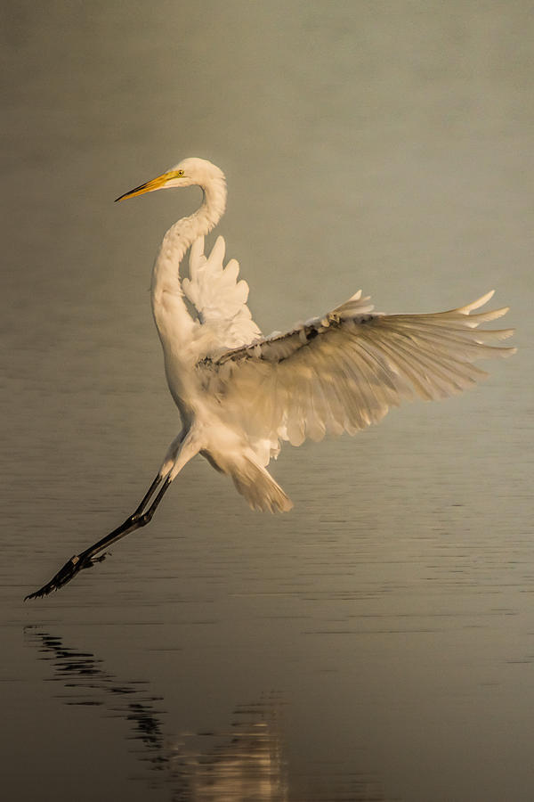 Angle of Attack Photograph by Karl Mahnke - Fine Art America