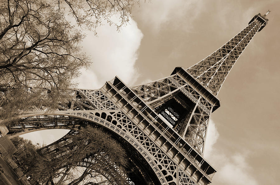 Angled Eiffel Tower from Base to Summit Sringtime Paris France Sepia Photograph by Shawn OBrien