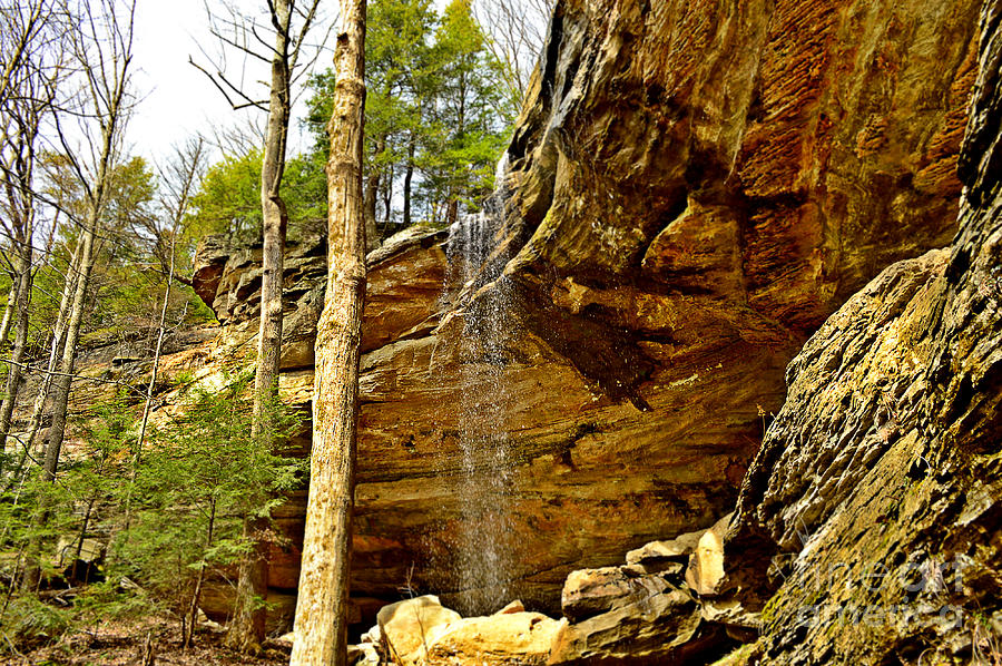Anglin Falls in Spring Photograph by Stacie Siemsen