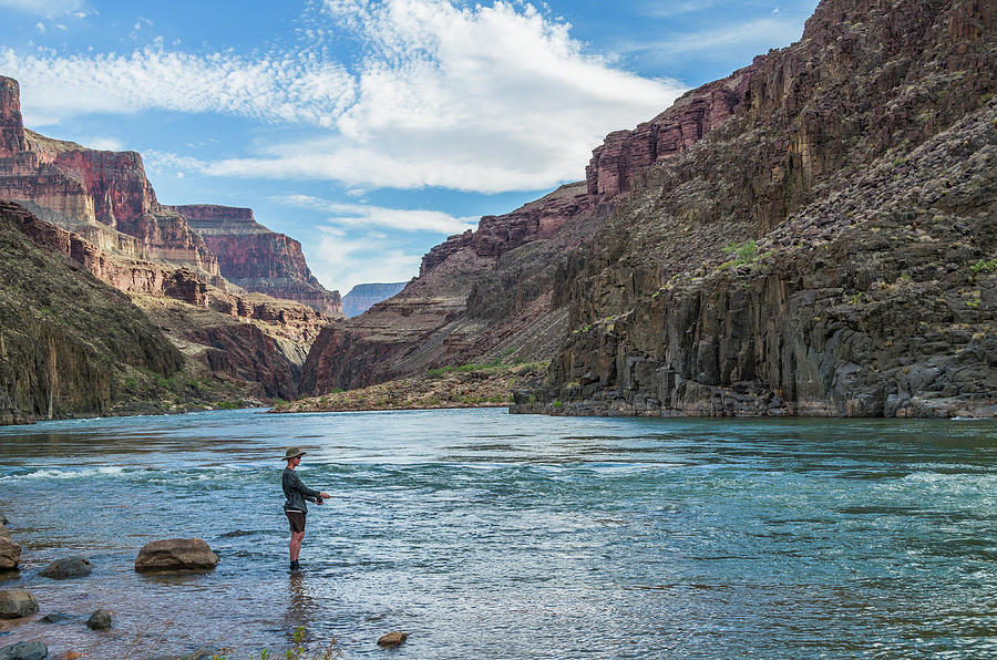 Angling on the Colorado Photograph by Alan Toepfer