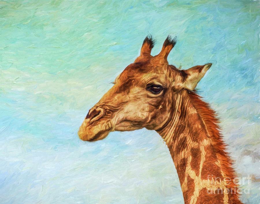 Angolan Giraffe portrait Digital Art by Liz Leyden