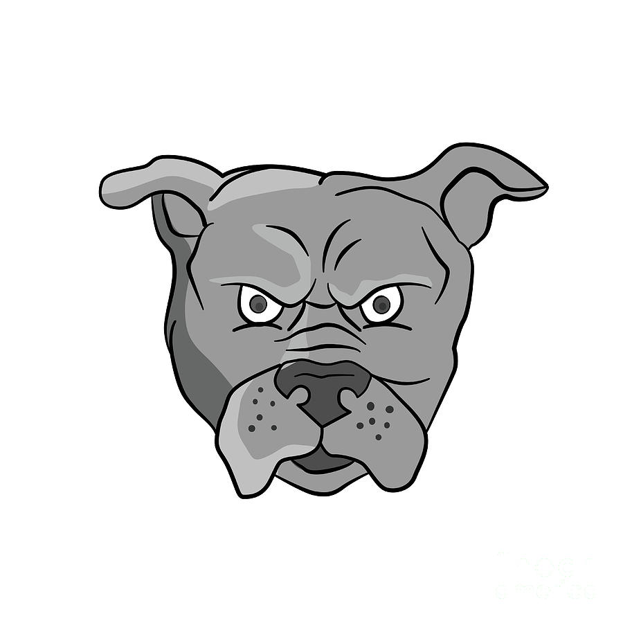 mean cartoon dog face