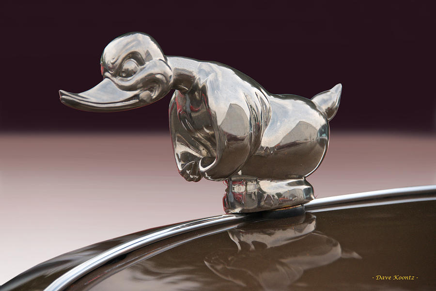 Angry Duck 'Hood Ornament' Photograph by Dave Koontz - Fine Art America