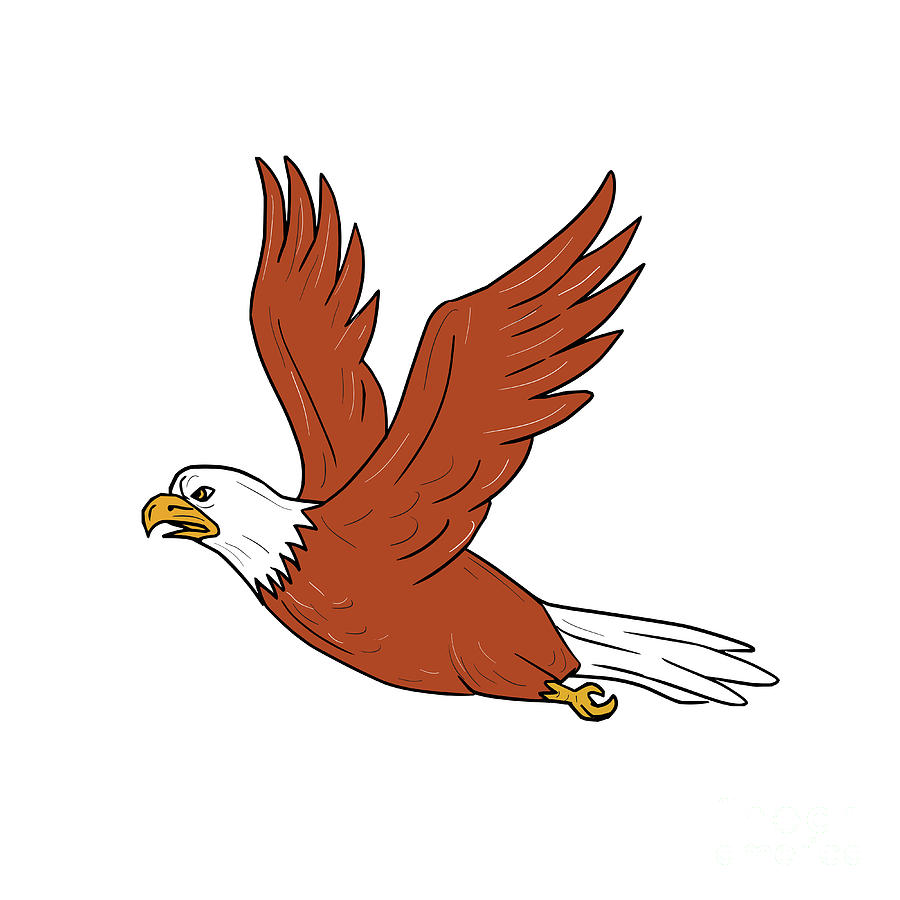 Angry Eagle Flying Cartoon Digital Art by Aloysius Patrimonio - Fine Art  America