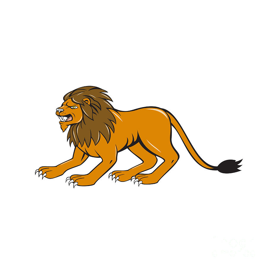 Wildlife Digital Art - Angry Lion Crouching Side Cartoon by Aloysius Patrimonio