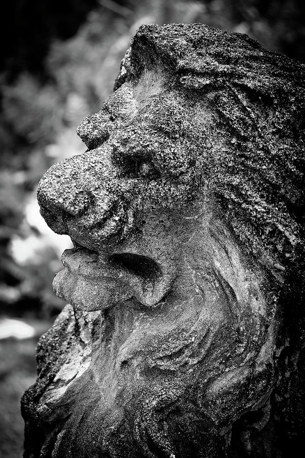 Angry Lion Sclupture Photograph by Roger Mullenhour