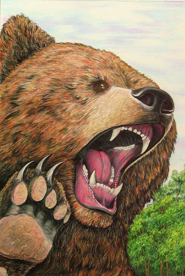 Wildlife Drawing - Angry by Lonnie Tapia