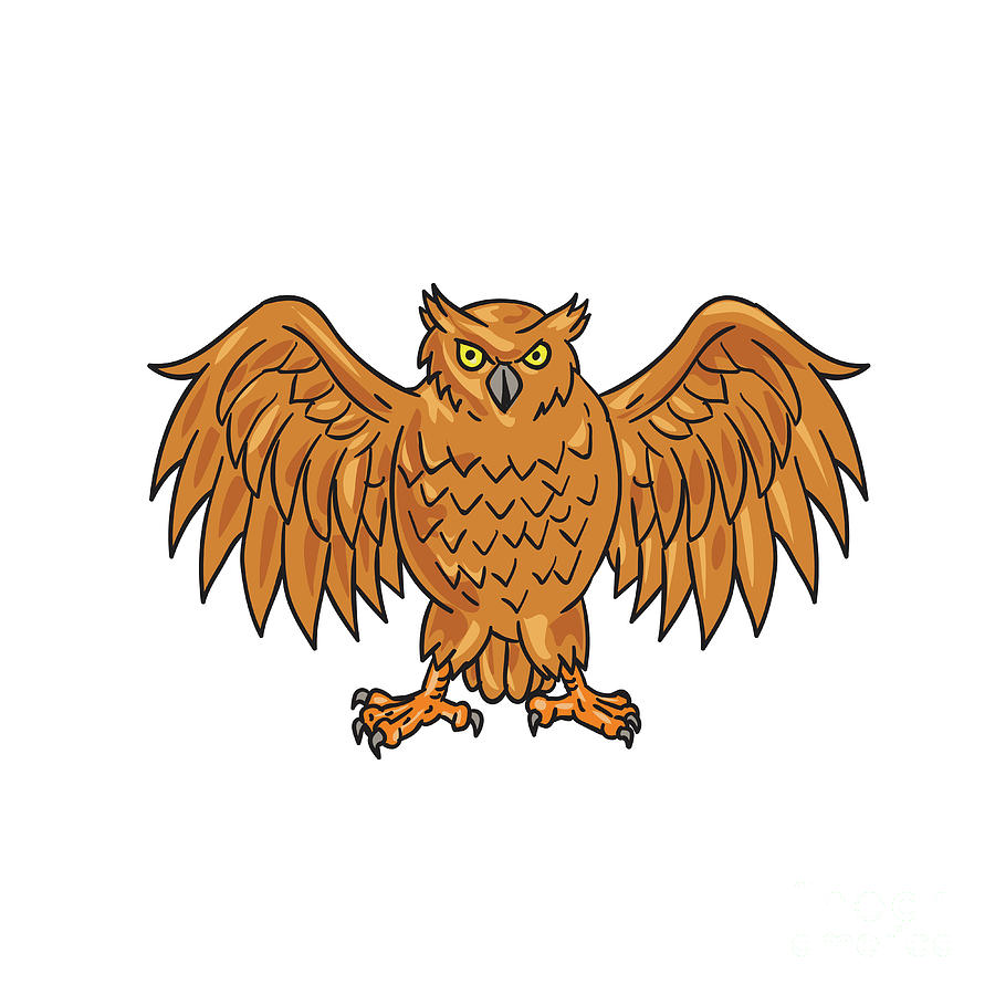 owl wings spread drawing