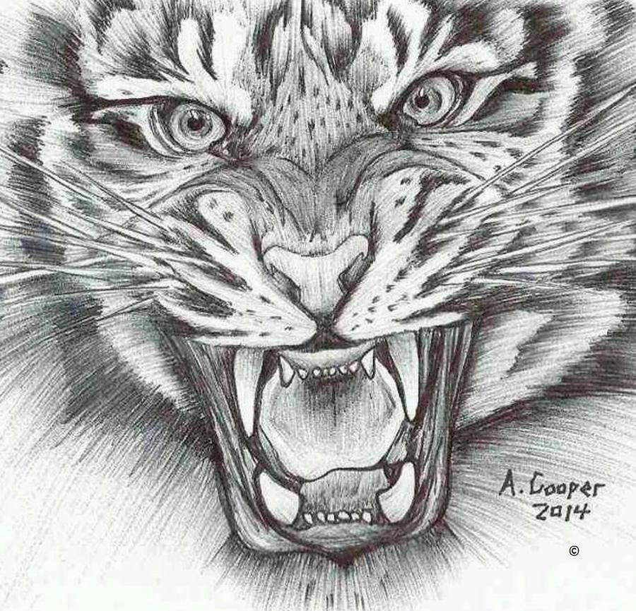 Anger Drawing by Alaa Alyaseen - Fine Art America