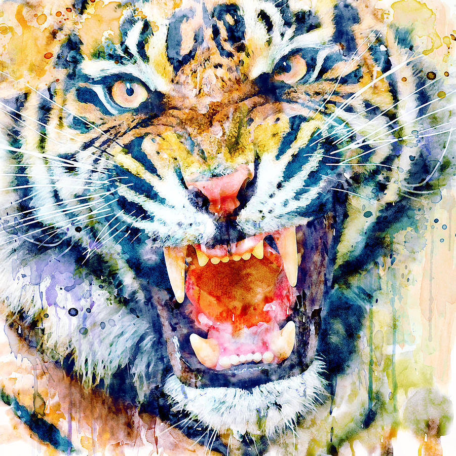 Angry Tiger Watercolor Close-up Painting by Marian Voicu