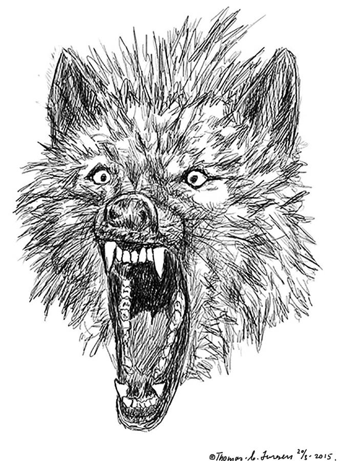 Angry Wolf Digital Art by ThomasE Jensen