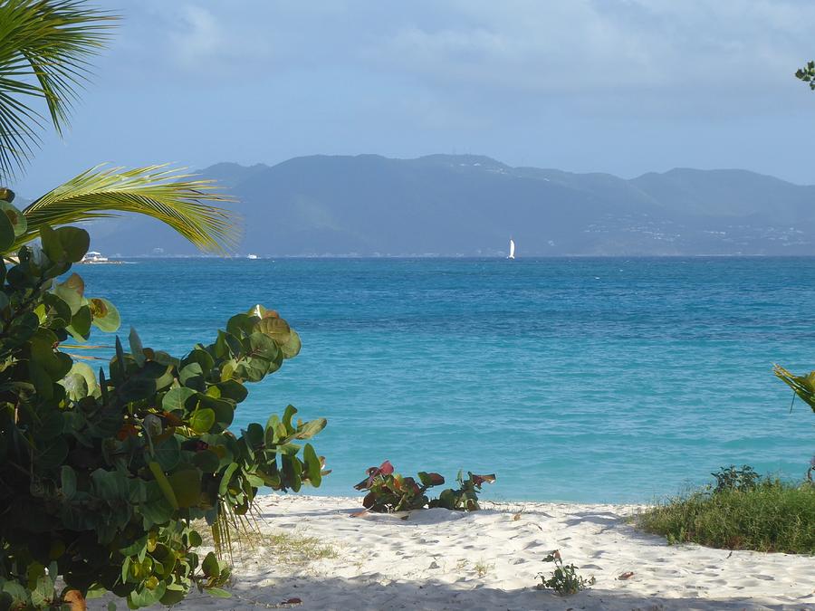 Anguilla beach scene Photograph by Margaret Brooks