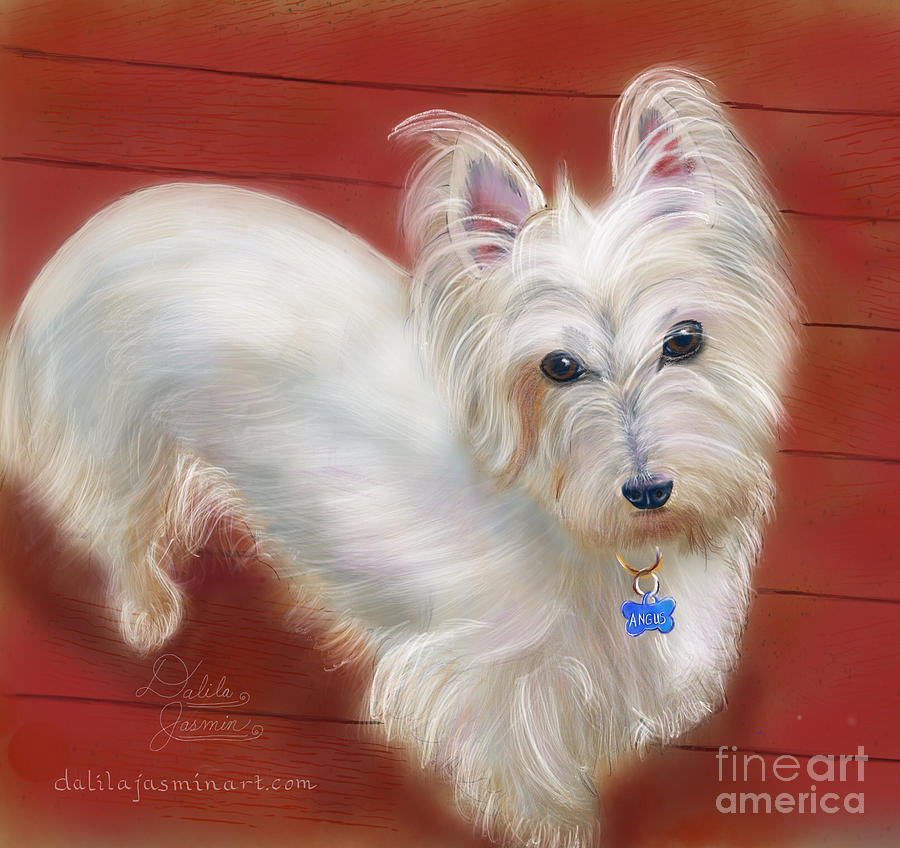 Dog Digital Art - Angus by Dalila Jasmin Dog Digital Art - Angus by Dalila Jasmin