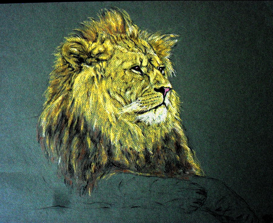 Jungle Pastel - Animal 21- Lion by Mohd Raza-ul Karim
