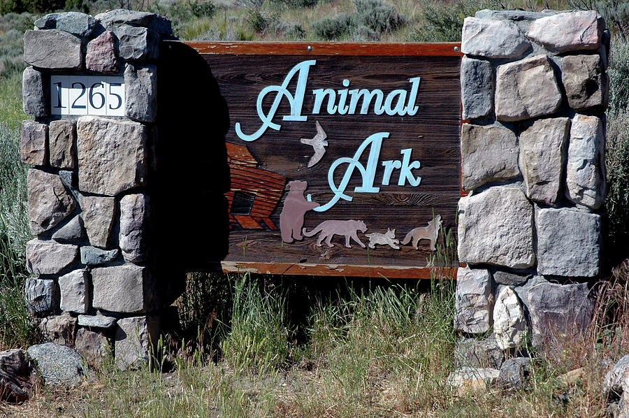 Animal Ark Sign Reno Nevada Photograph by LeeAnn McLaneGoetz McLaneGoetzStudioLLCcom