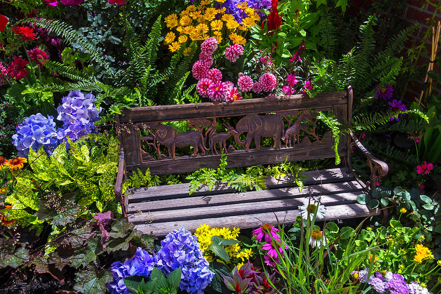 Garden Photograph - Animal Bench by Garry Gay