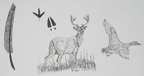 Featured image of post Art Animals Drawing Deer : The images above represents how your finished.