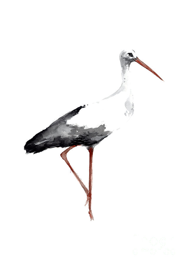 Stork Painting - Drawing, Animal Bird, Stork Art Print, Watercolor Poster, Bird Painting, Kids Room Decor by Joanna Szmerdt