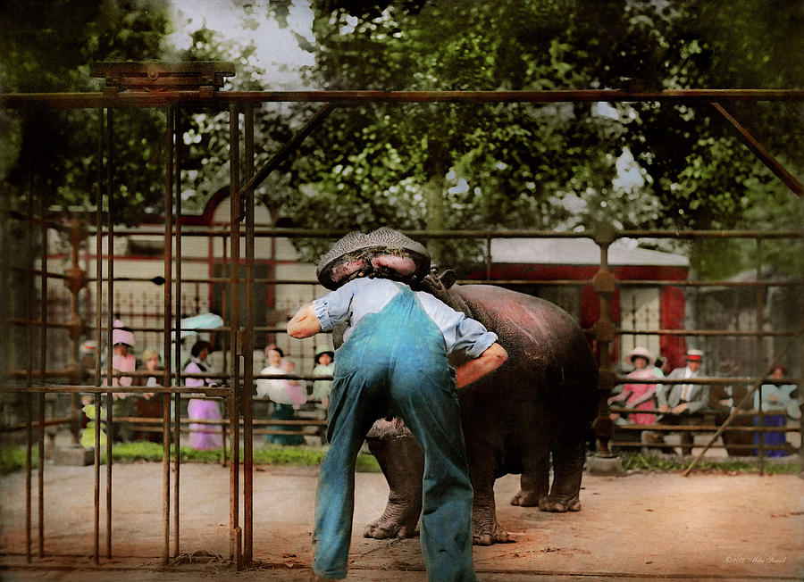 Hippopotamus Photograph - Animal - Hippo - Stupid human tricks 1910 by Mike Savad