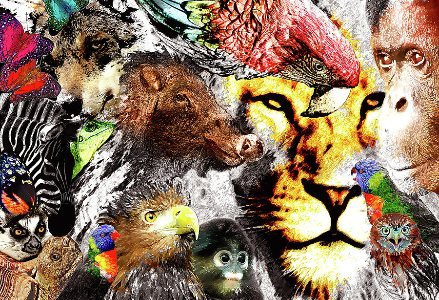 Animal kingdom collage Digital Art by Nannie Van der Wal - Fine Art America