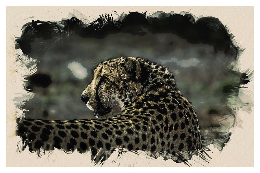 Animal Kingdom Series - Cheetah Painting by Celestial Images - Fine Art  America
