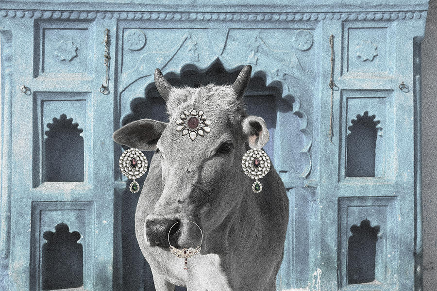 Animal Photograph - Animal Royalty 7 by Sumit Mehndiratta