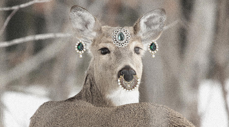 Animal Royalty Series 5 Digital Art by Sumit Mehndiratta