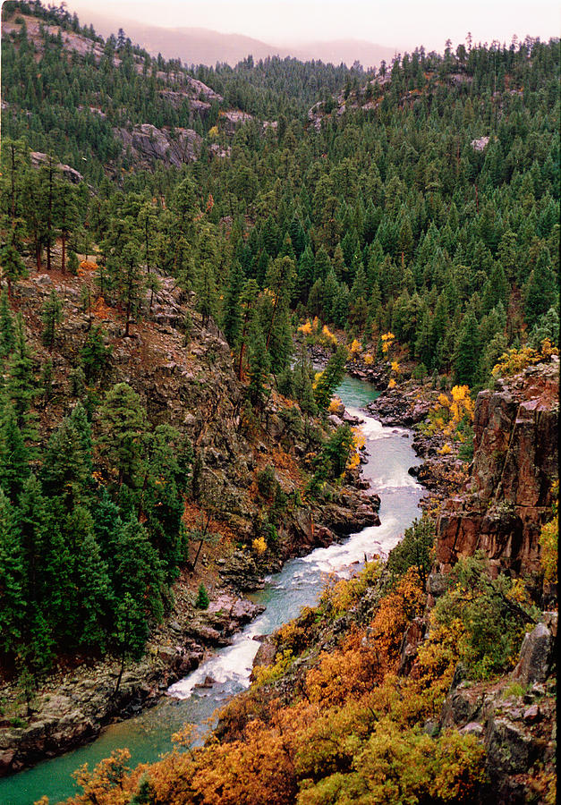 Animas River Colorado Photograph by Robert Woodward