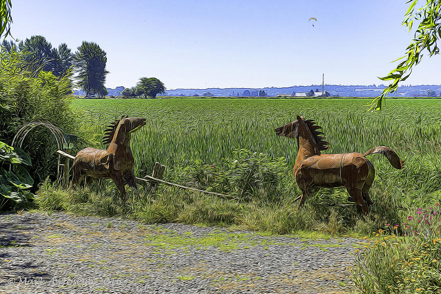 Animated Horses Photograph by Mark Joseph