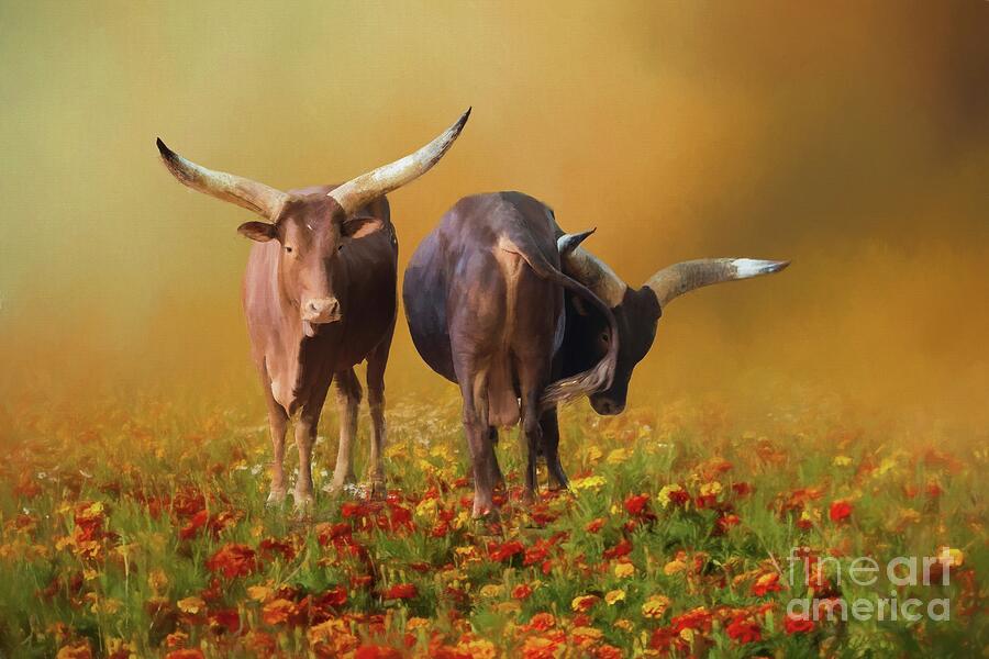 Farm Animals Photograph - Ankole Longhorns by Eva Lechner