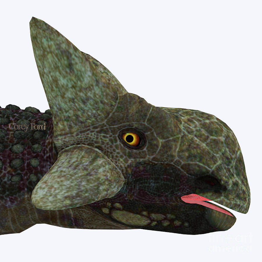 Ankylosaurus Dinosaur Head Digital Art By Corey Ford Pixels