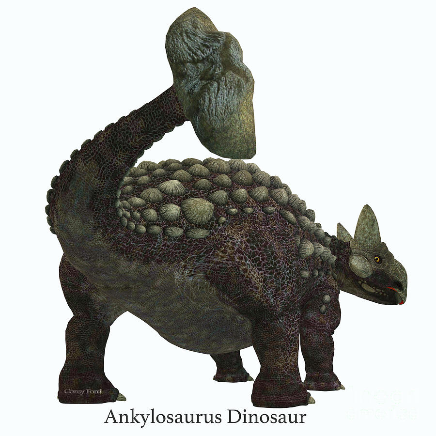 Ankylosaurus Dinosaur Tail with Font Digital Art by Corey Ford