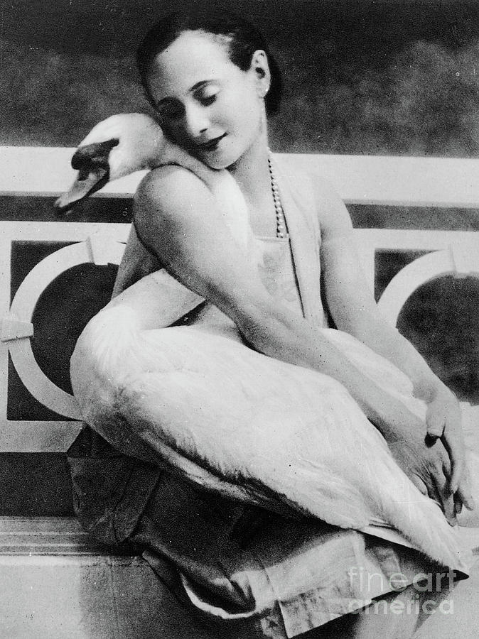 Anna Pavlova with her pet swan Jack, 1905 Photograph by English School