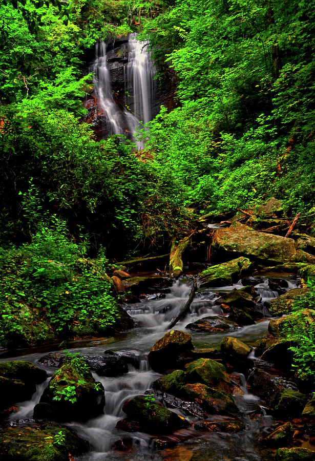 Anna Ruby Falls 003 Photograph by George Bostian
