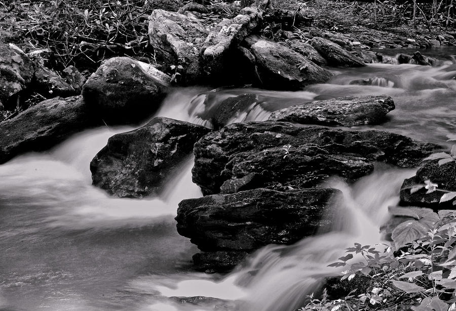 Anna Ruby Falls - Smith Creek 002 BW Photograph by George Bostian
