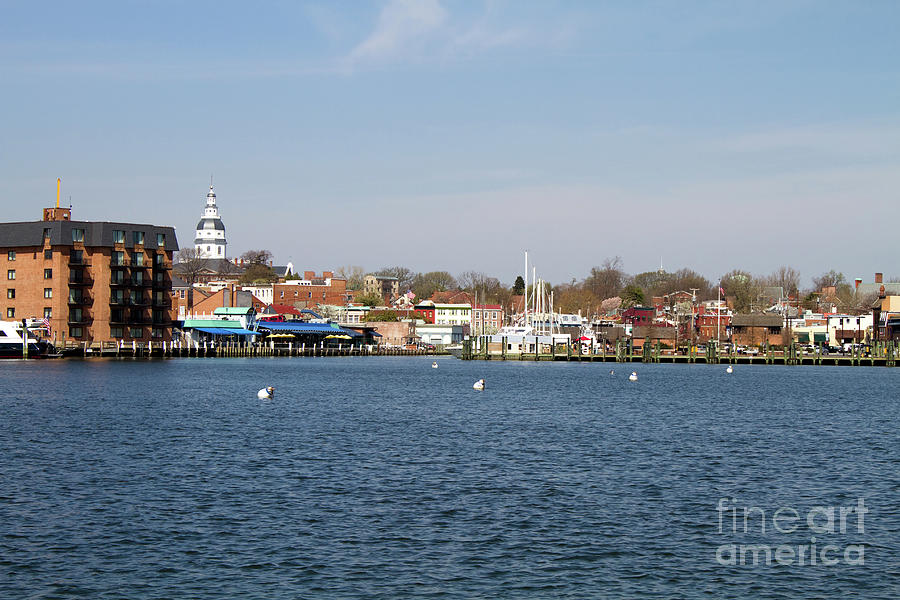 Annapolis City Skyline by Steven Frame Annapolis City Skyline by Steven Frame
