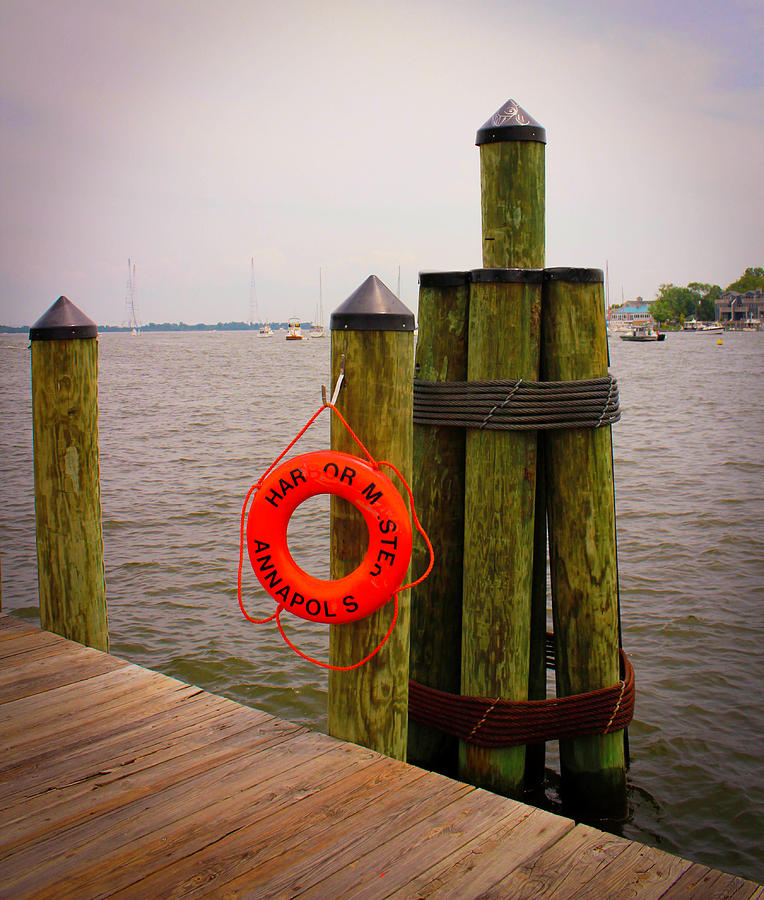 Annapolis Dock Photograph by Dr Janine Williams