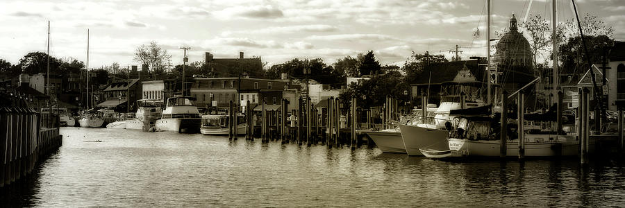 Annapolis Harbor Photograph by Alan Hausenflock