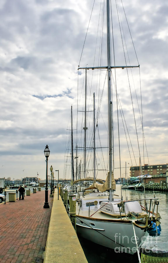 Annapolis Harbor  Photograph by Richard Lynch