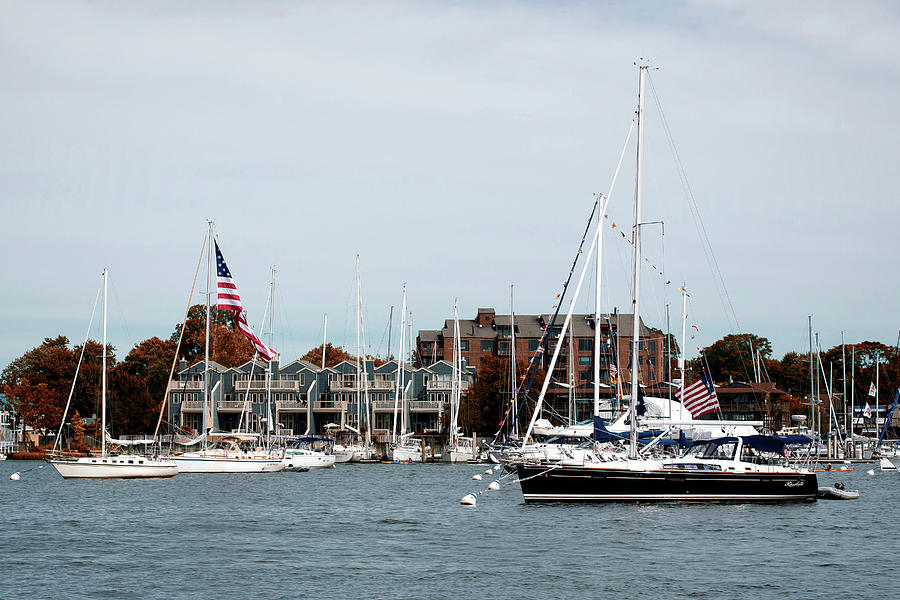 Annapolis Harbor Photograph by Richard Macquade