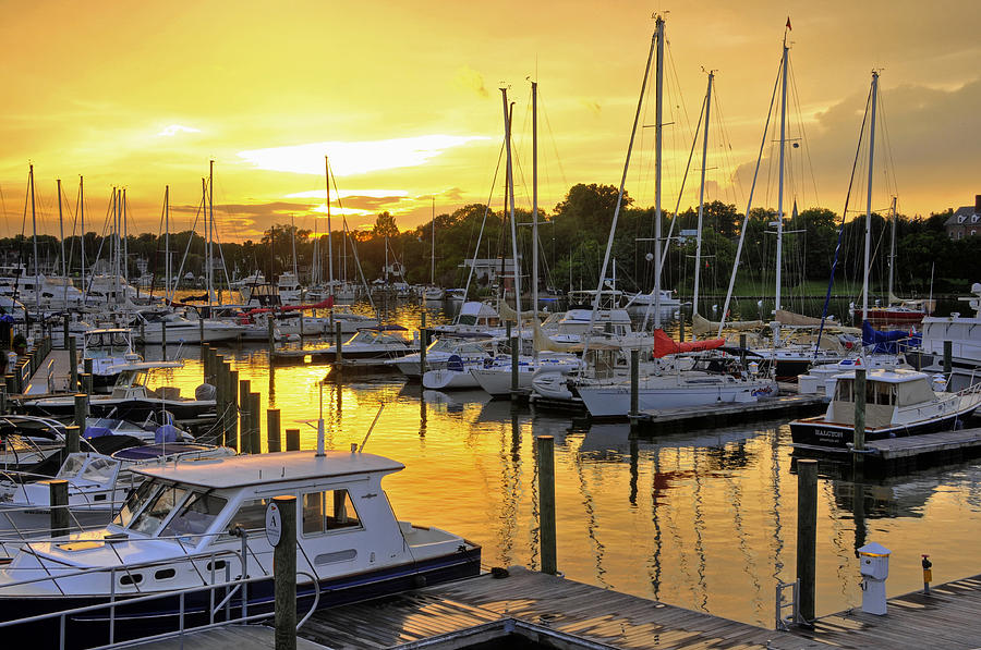 Annapolis Sunset Photograph by Dan Myers