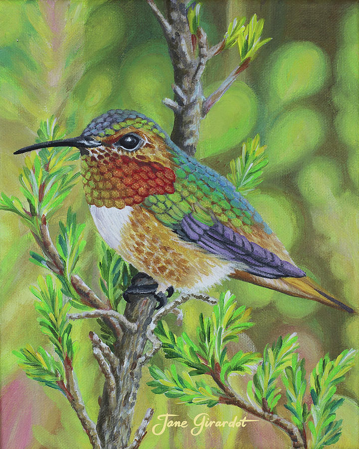 AnnaS Hummingbird Painting by Jane Girardot