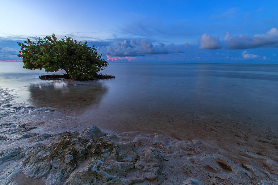Annes Beach sunrise Photograph by Stefan Mazzola