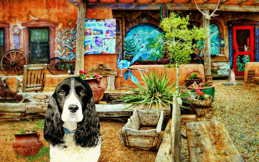 Dog Photograph - Annie at San Marcos Cafe by Diana Angstadt