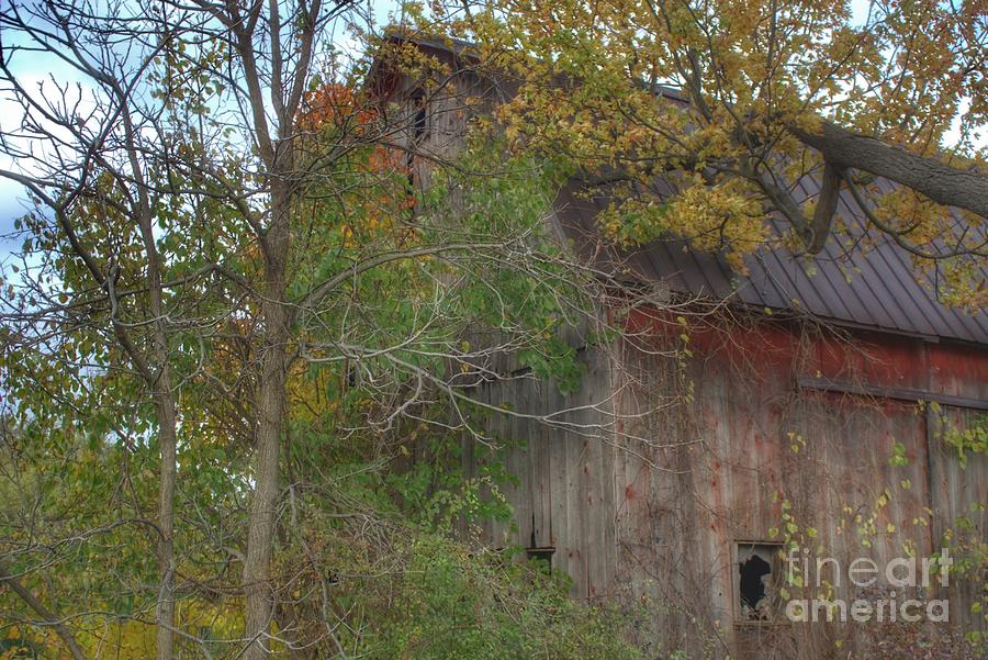 0001 - Annies Barn I #1 Photograph by Sheryl L Sutter