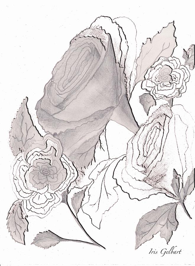 Anniversary Roses Drawing by Iris Gelbart