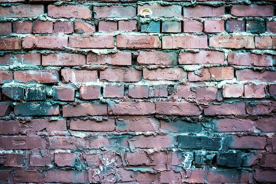 Another Brick in the Wall Photograph by Anthony Doudt