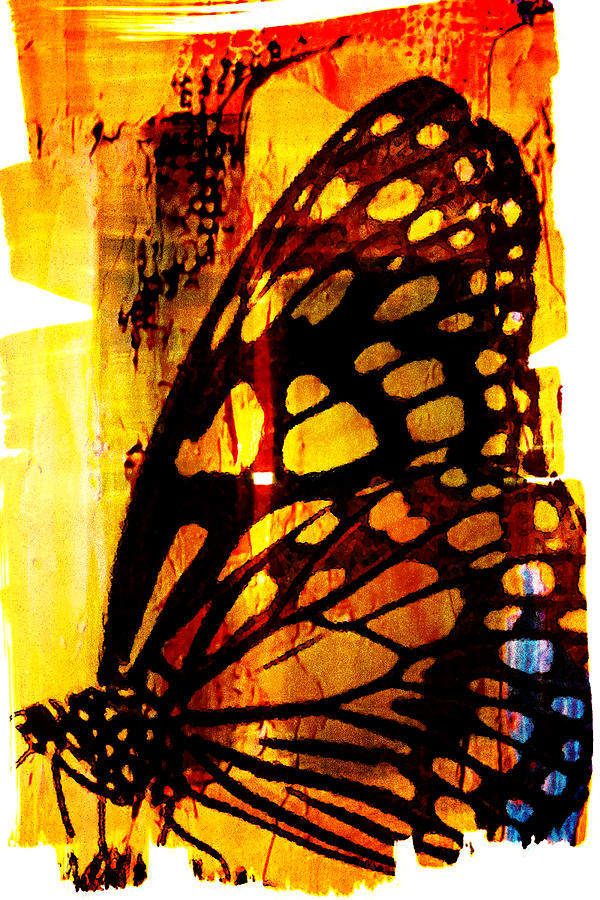 Another Butterfly Digital Art by Andrea Barbieri
