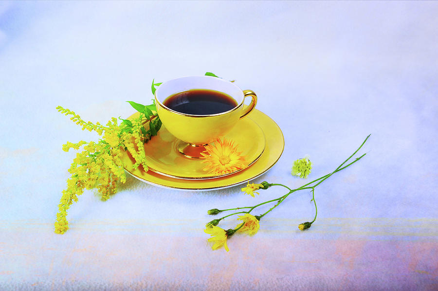 Another Cup of Coffee Photograph by Randi Grace Nilsberg