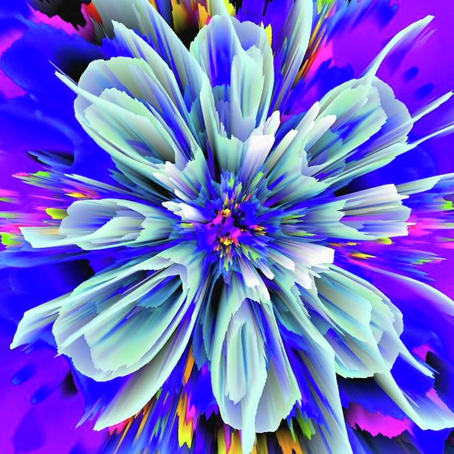 Another Day, Another Flower

created Photograph by Steve Solomon